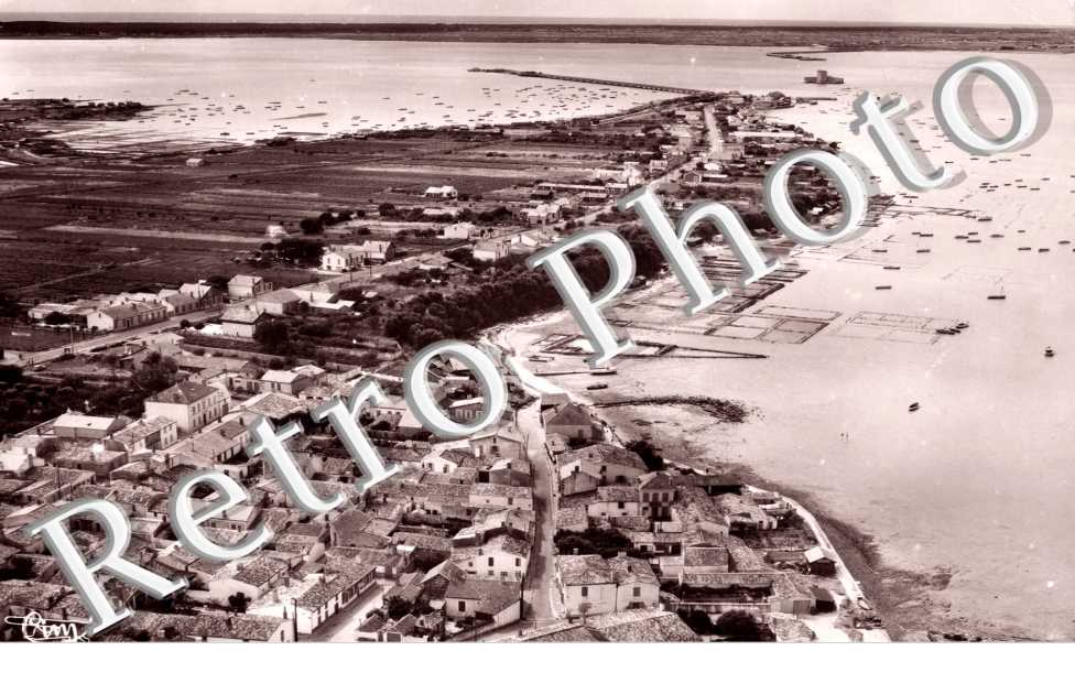 Vue Aerienne - La Pointe, Le Fort