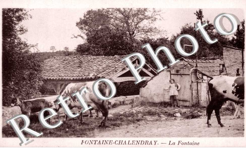 la fontaine 