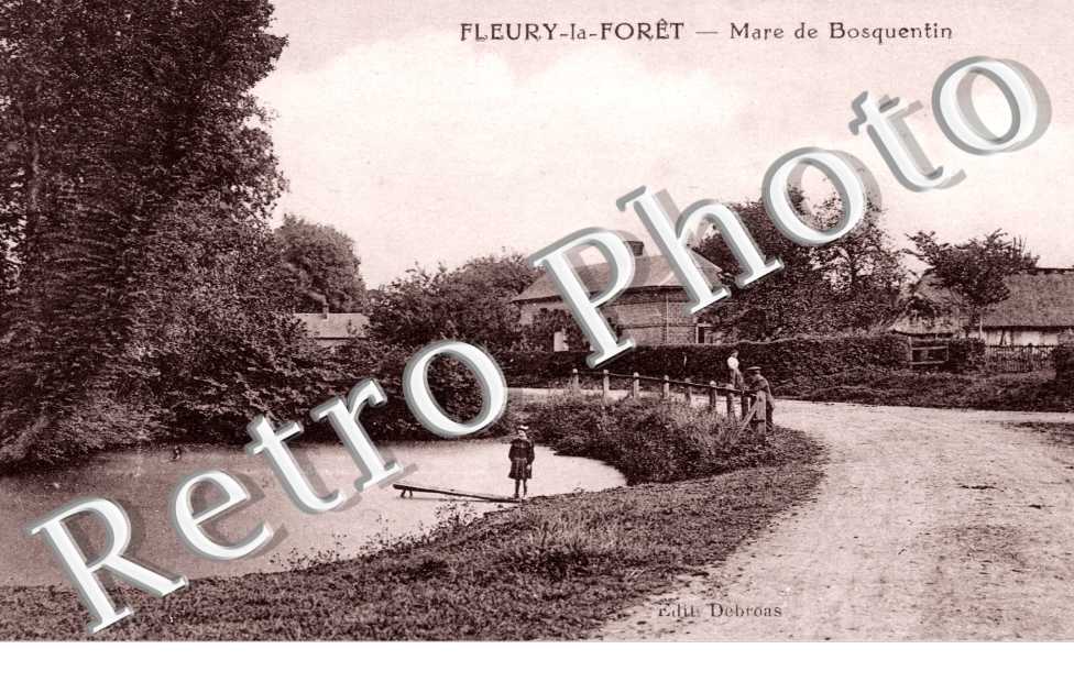 Fleury la Foret - La mare de Bosquentin