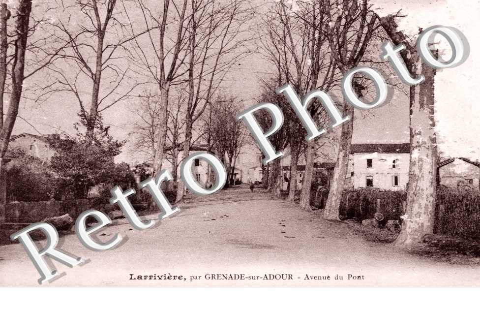 Avenue du Pont