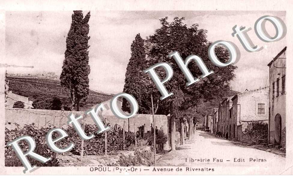 Avenue de Rivesaltes