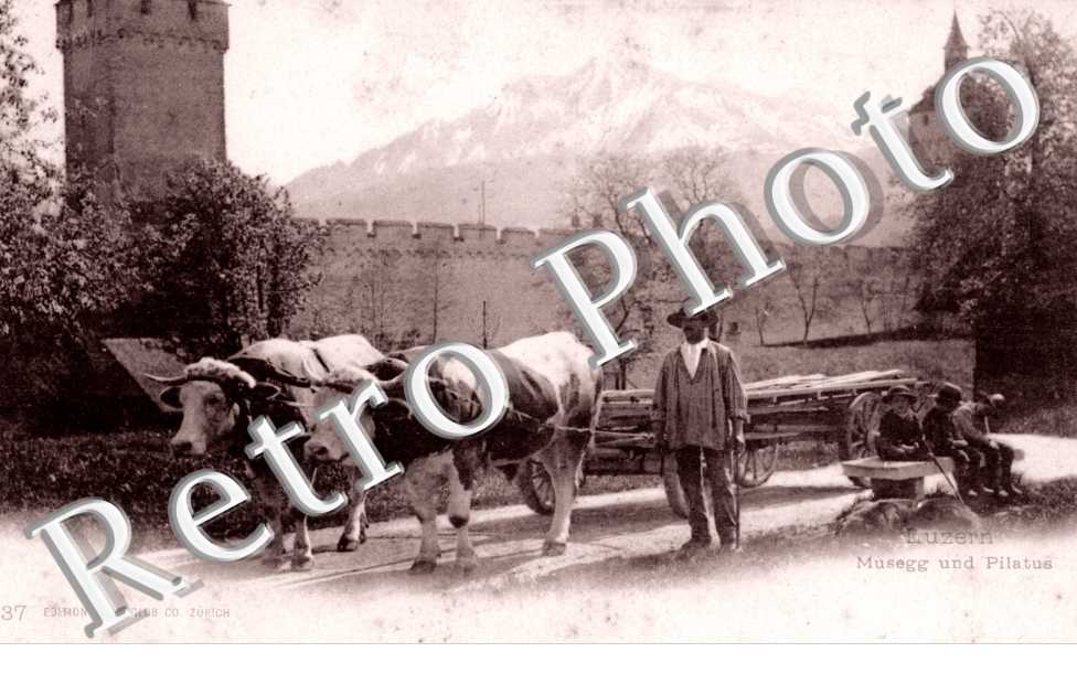 Musegg und Pilatus