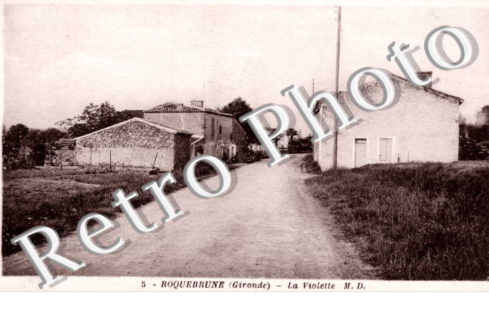 LA Violette 
