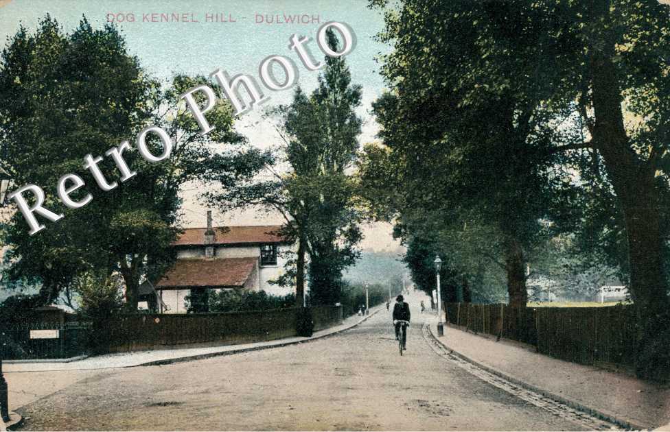 Dog Kennel Hill