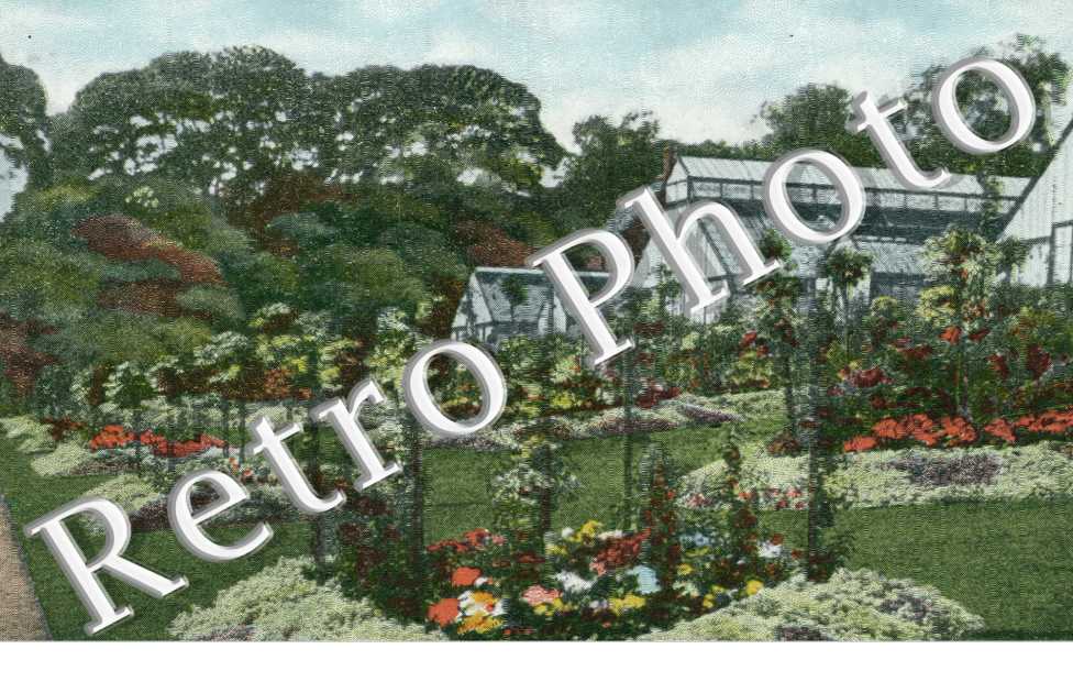 in the Glen gardens