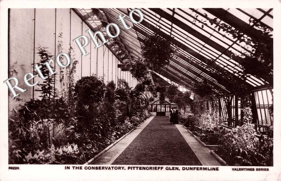 In the Conservatory, Pittenorieff Glen