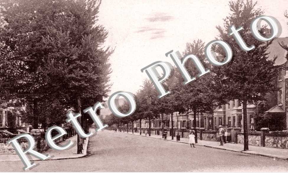 Levingston Gardens