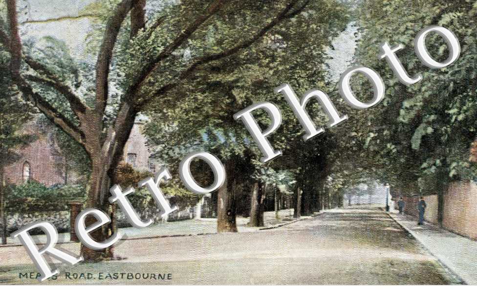 Meads Road