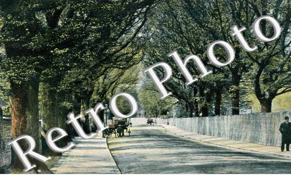 Meads Road