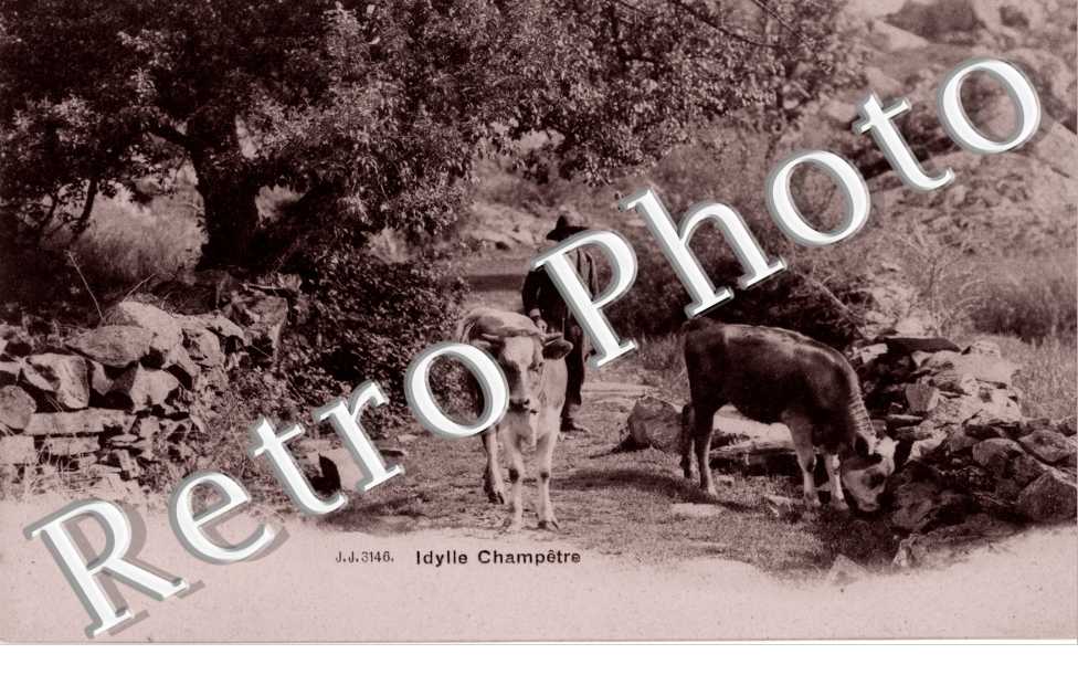 Idylle champetre