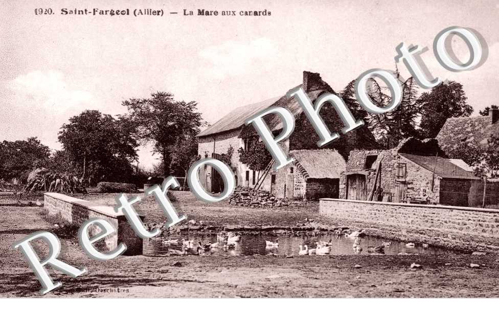 la Mare aux canards