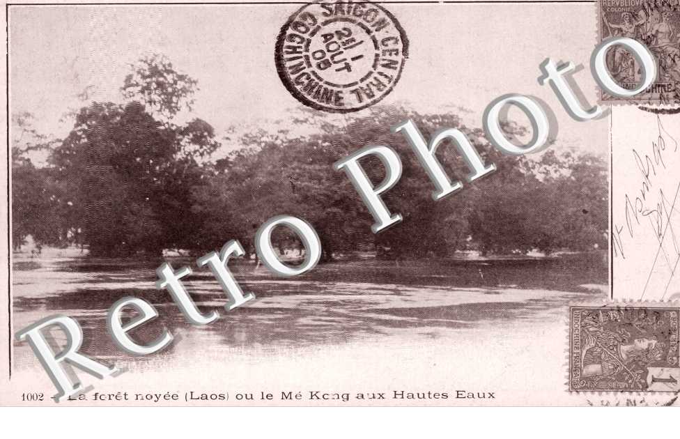 la Foret noyee ou le Me Kong aux Hautes Eaux
