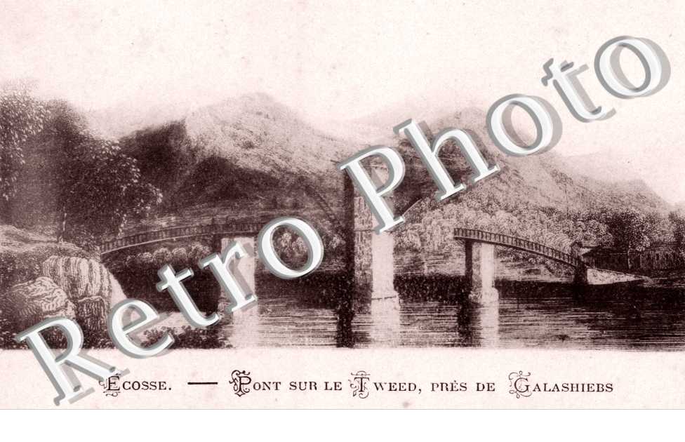 Pont sur le T Weed