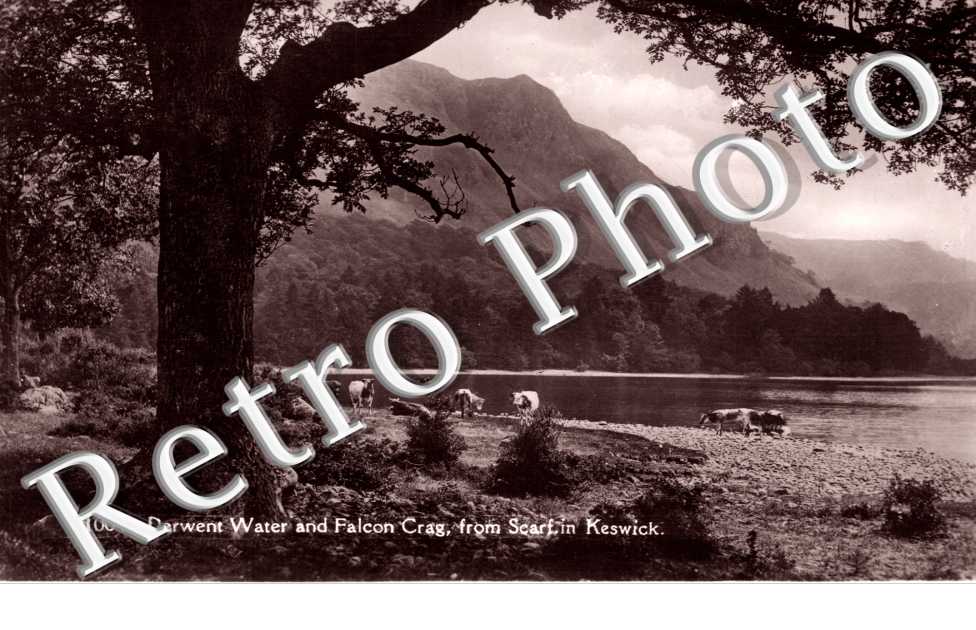 Derwent water and Falcon Crag from Scarf in Keswick