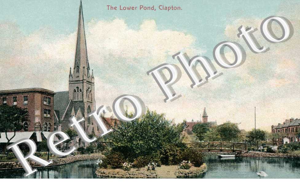 The Lower Pond