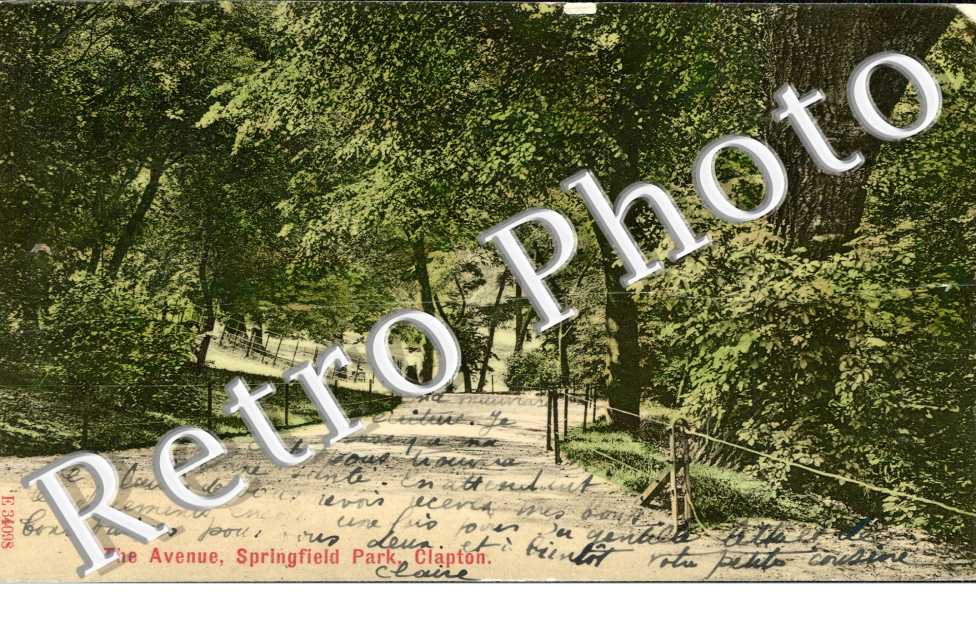 The avenue, Springfield Park
