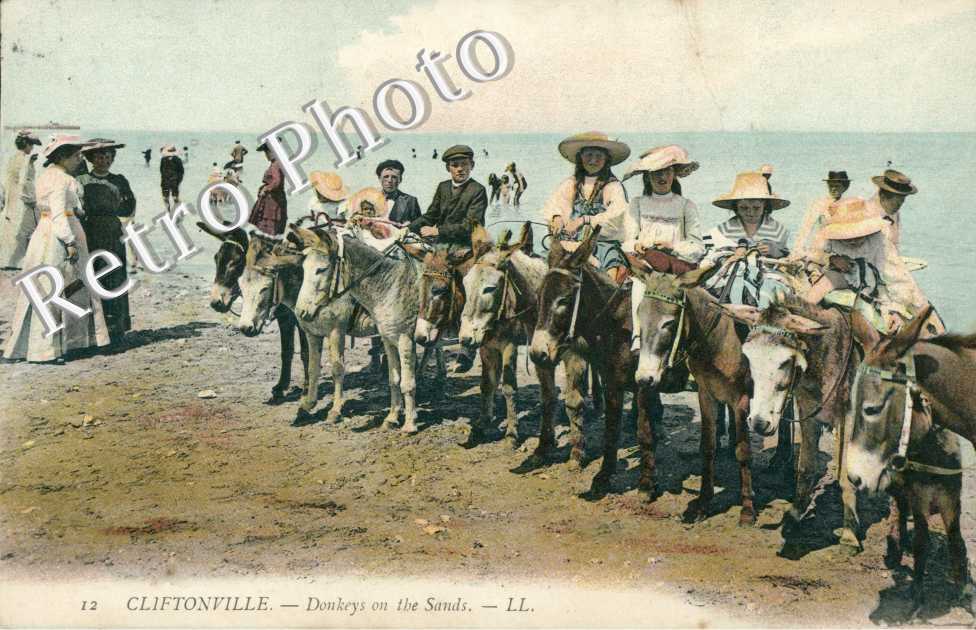 Donkeys on the Sands
