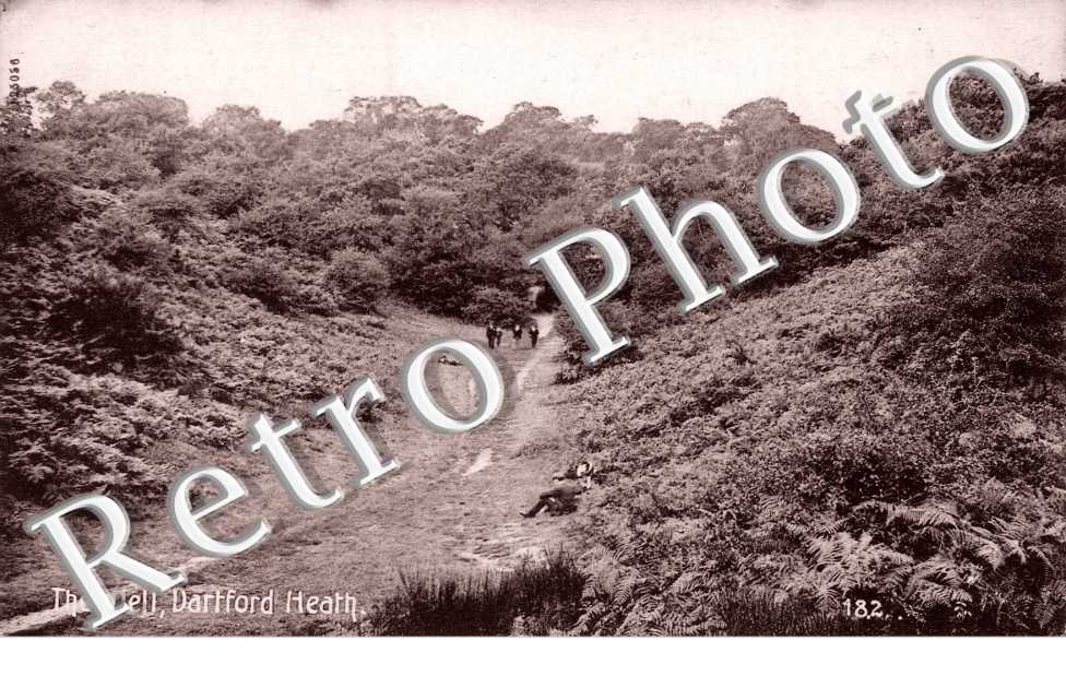 The Dell, Dartford Heath