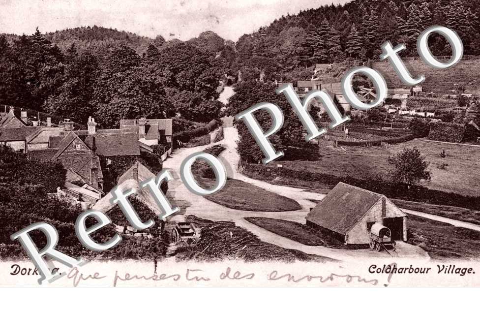 Coldharbour Village