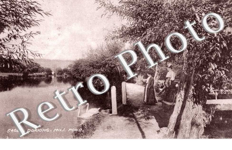 Mill Pond