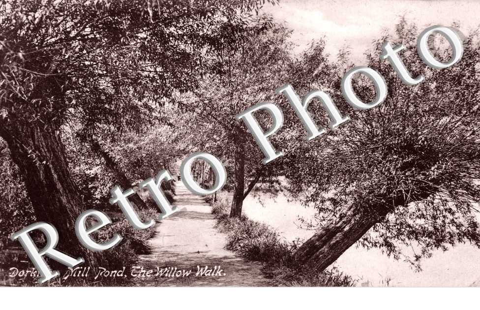 Mill Pond, the Willow Walk