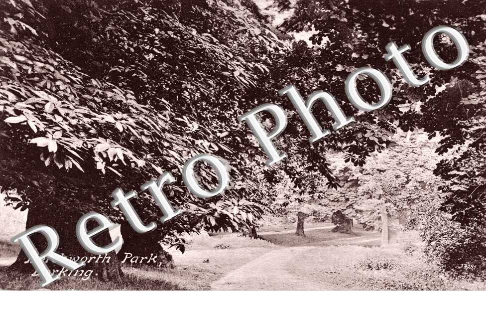 Betchworth Park