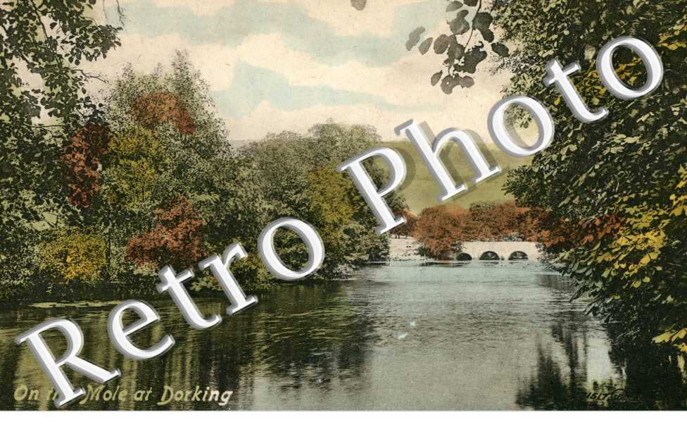On the Mole at Dorking