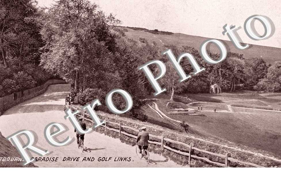Paradise Drive and Golf Links