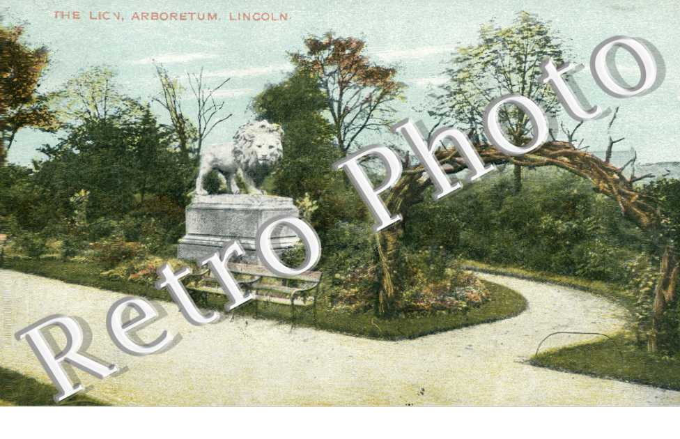 The Lion, Arboretum