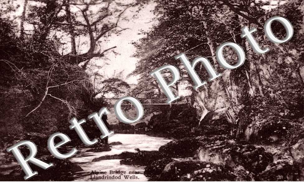 Alpine Bridge near Llandrindod wells
