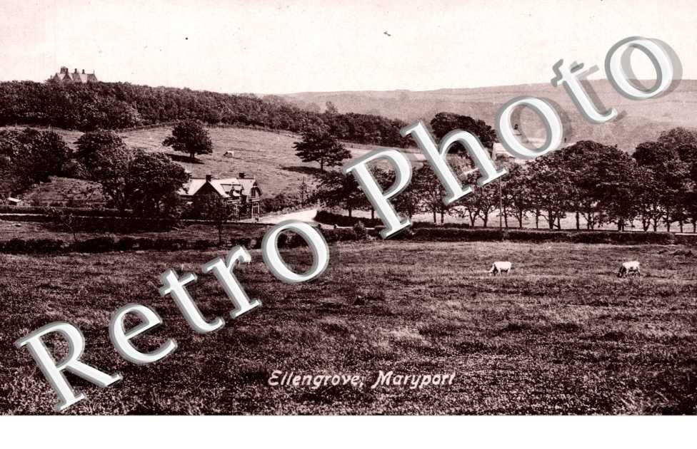 Ellengrove