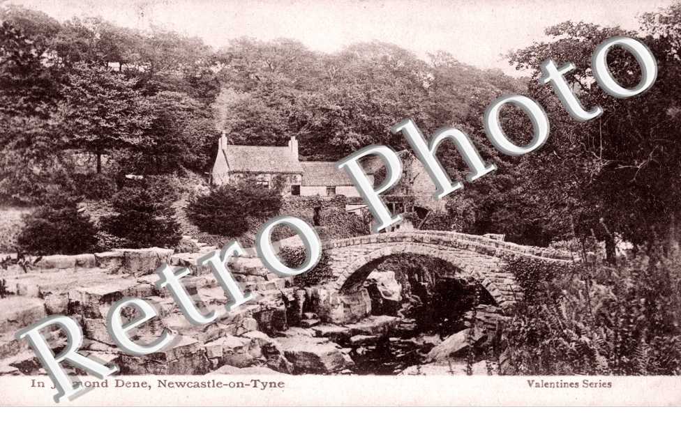 In Jesmond Dene