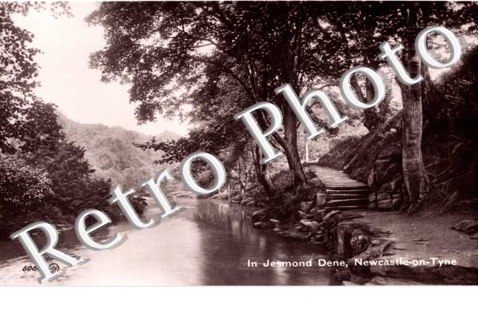 In Jesmond Dene