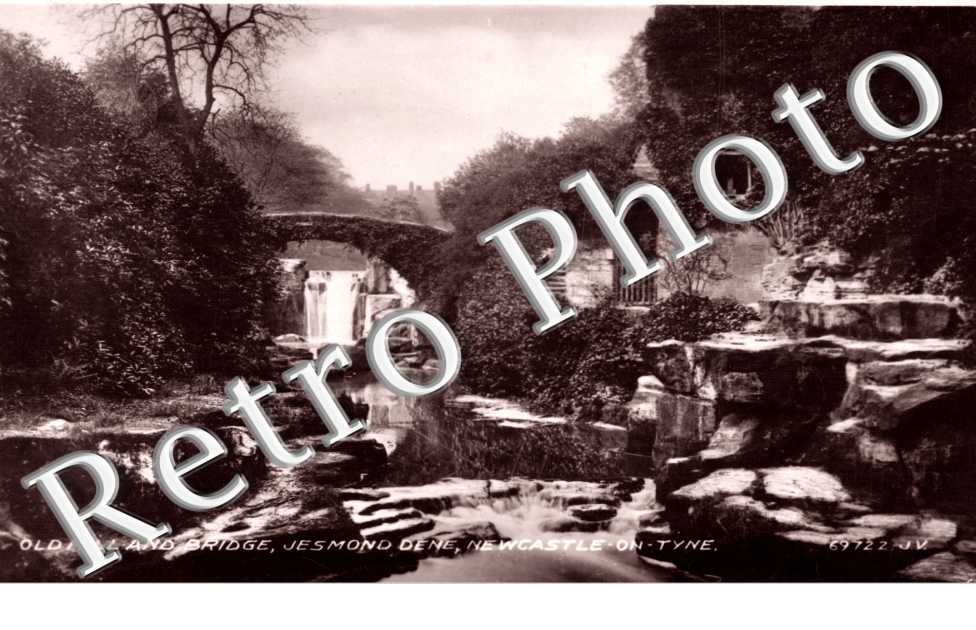 Old Mill and Bridge, Jesmond Dene