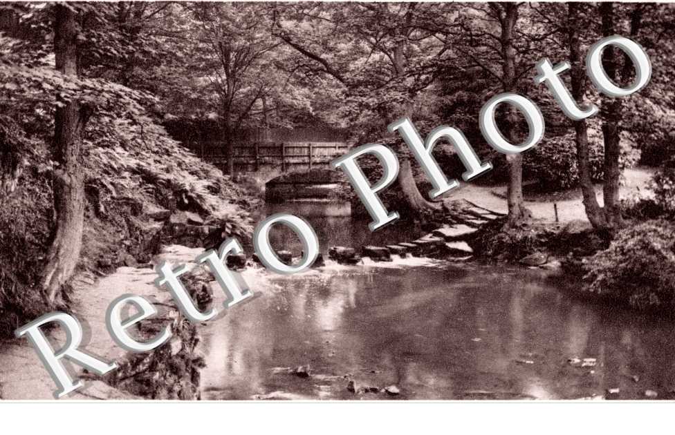 the Steeping Stones, Jesmond Dene