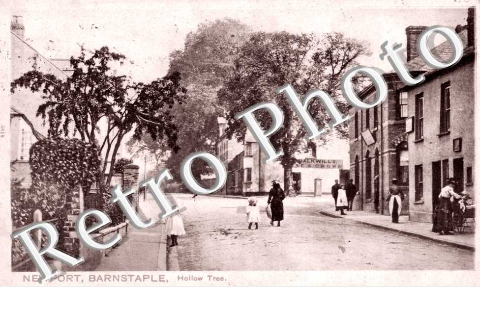 Barstaple, Hollow Tree