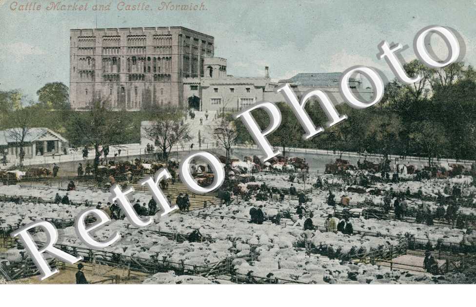 Cattle Market and Castle