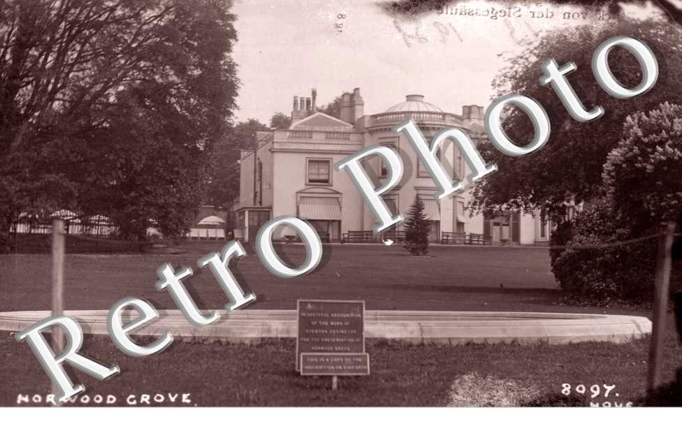 Norwood Grove