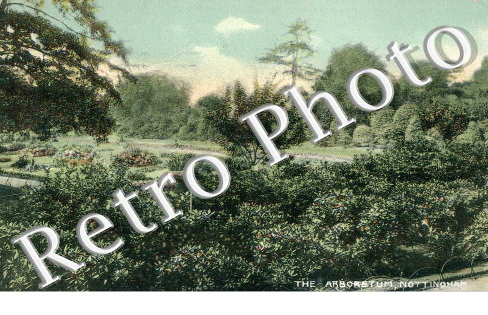 the Arboretum