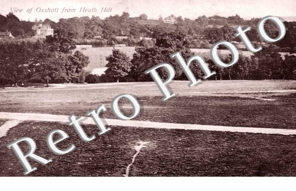 View of Oyshott from health Hill