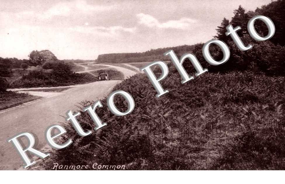 Ranmore Common