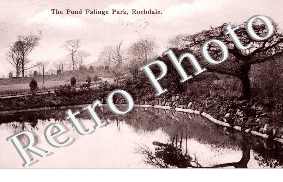 the Pond Fallinge Park