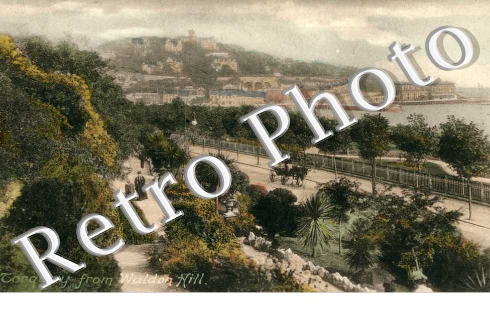Torquay from Waldon Hill
