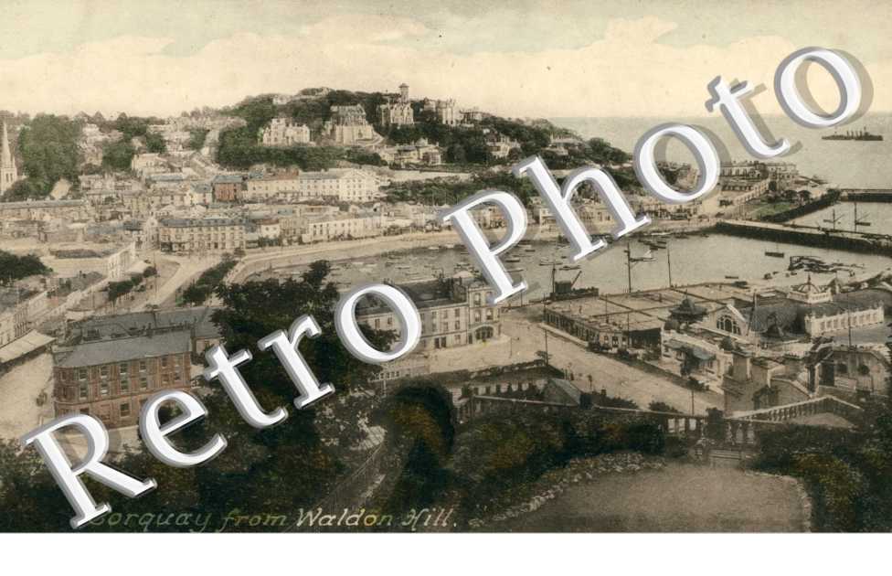 Torquay from Waldon Hill