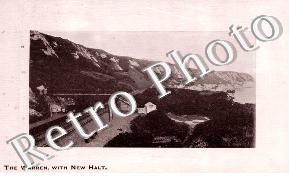the Warren with New Halt