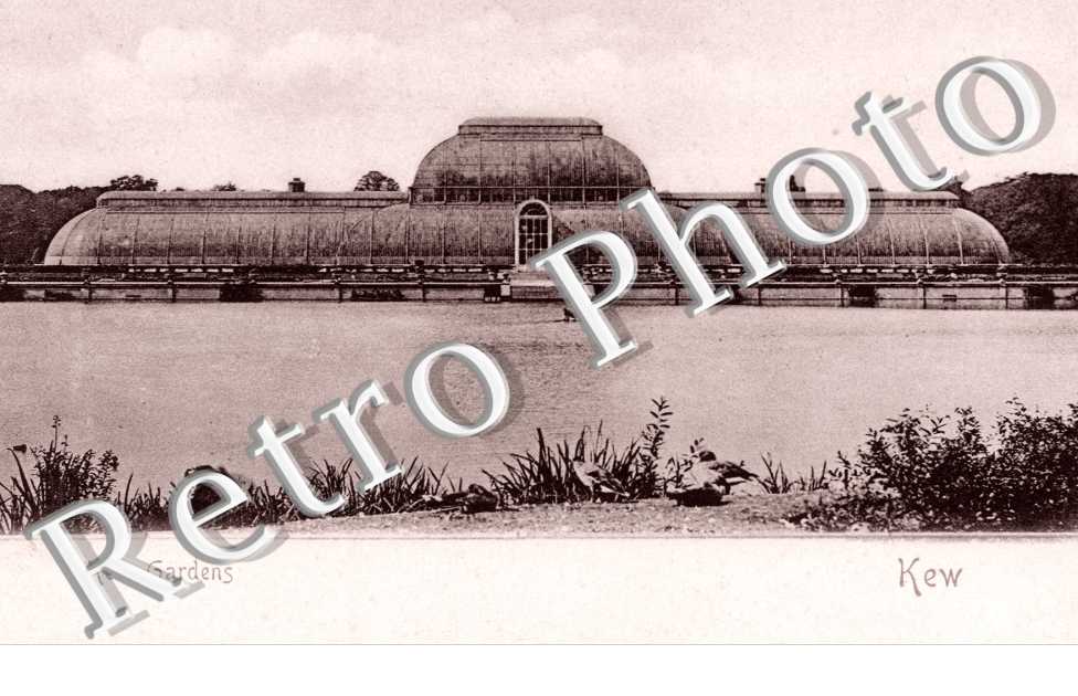 Kew gardens