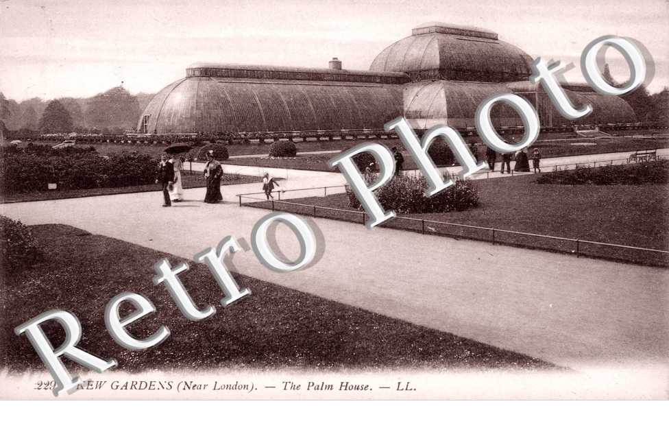 Kew gardens, the Palm House