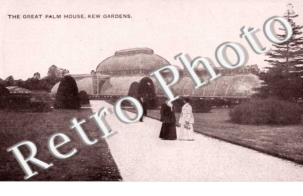the Great Palm House, Kew gardens