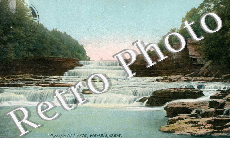 Aysgarth Force