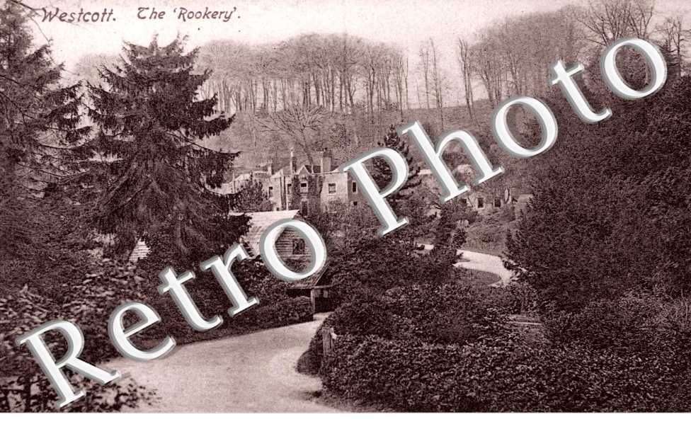 the Rookery